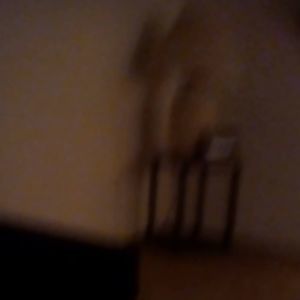 Meet your Posher, Joewanda